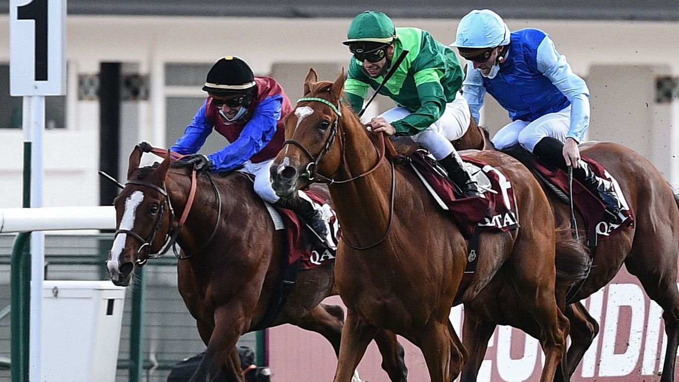 French Selections Thursday 1st
