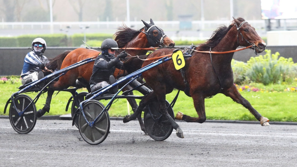 French Selections Sunday 20th