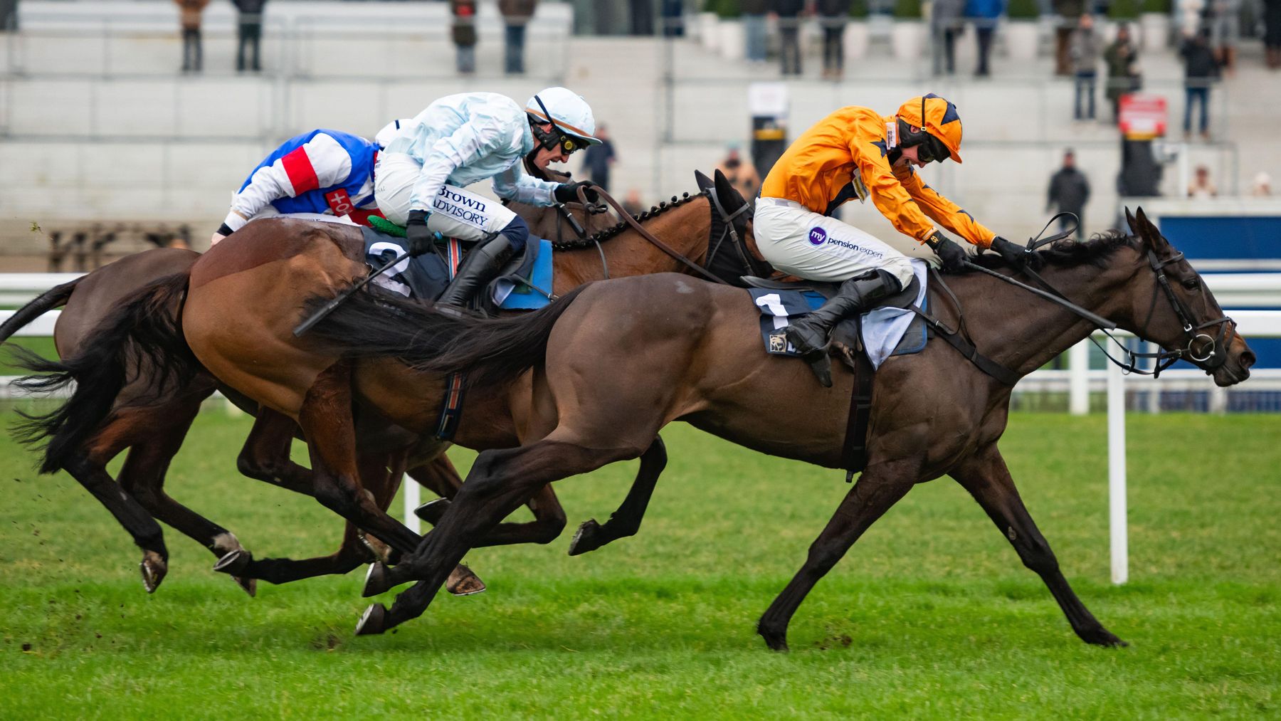 French Selections Thursday 29th