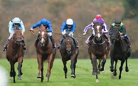 French Selections Sunday 11th
