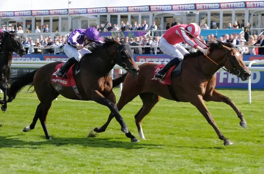 French Selections Saturday 31st