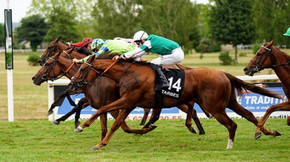 French Selections Friday 9th