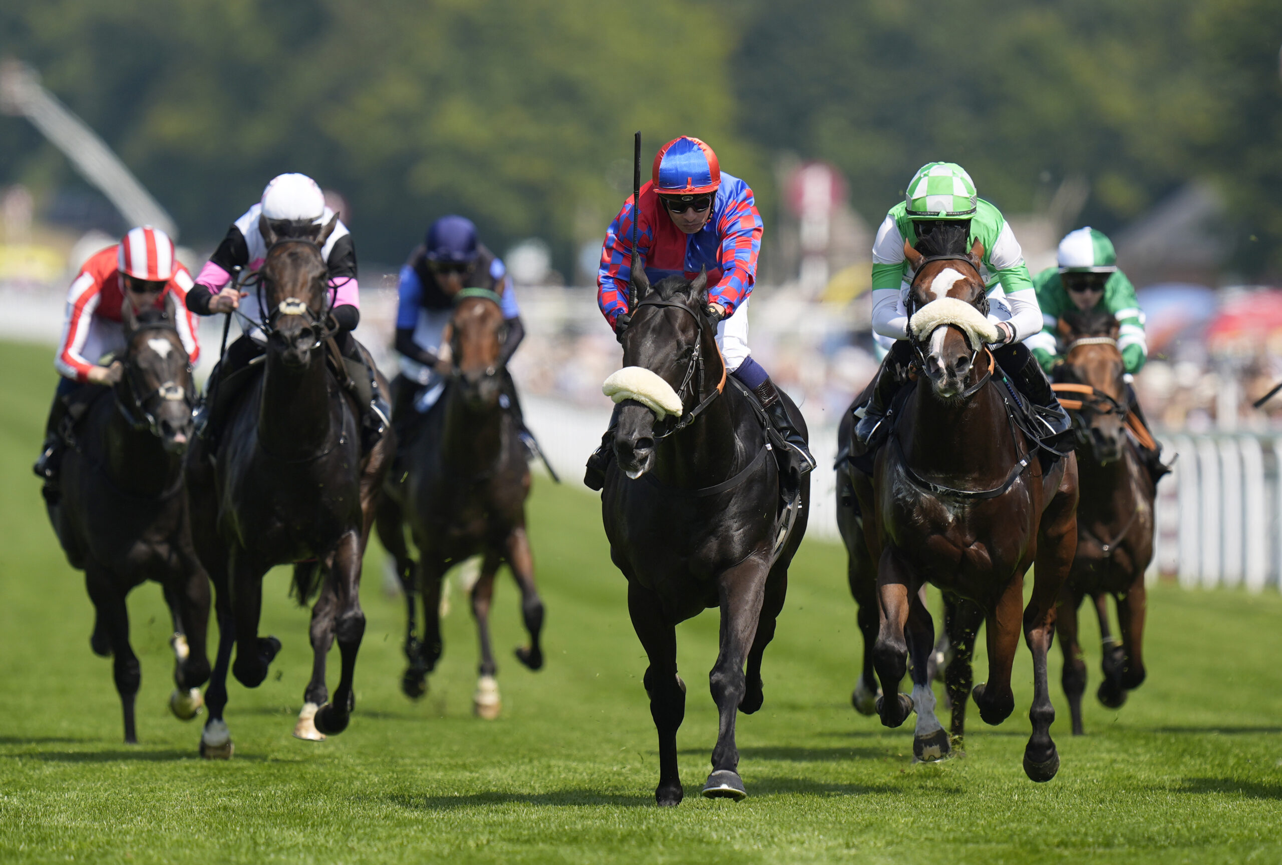 Big Mojo handed Sandy Laneassignment at Haydock