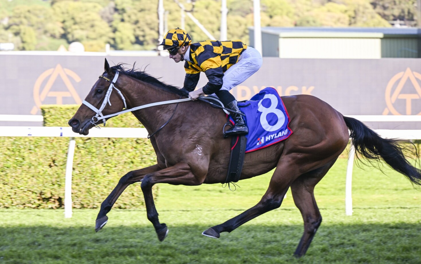 Polytrack trial preps up Joliestar