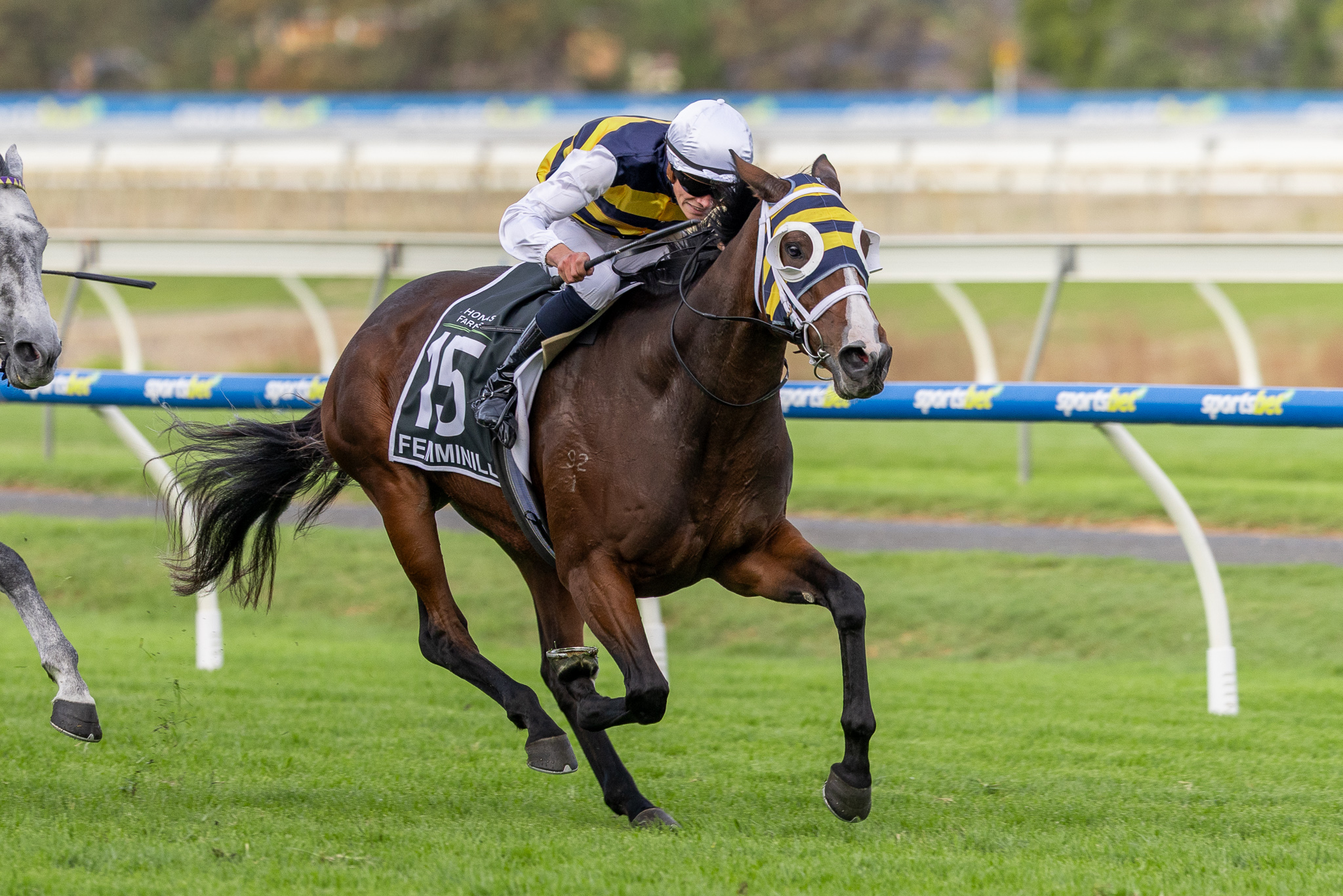 Qld Derby option for Femminile