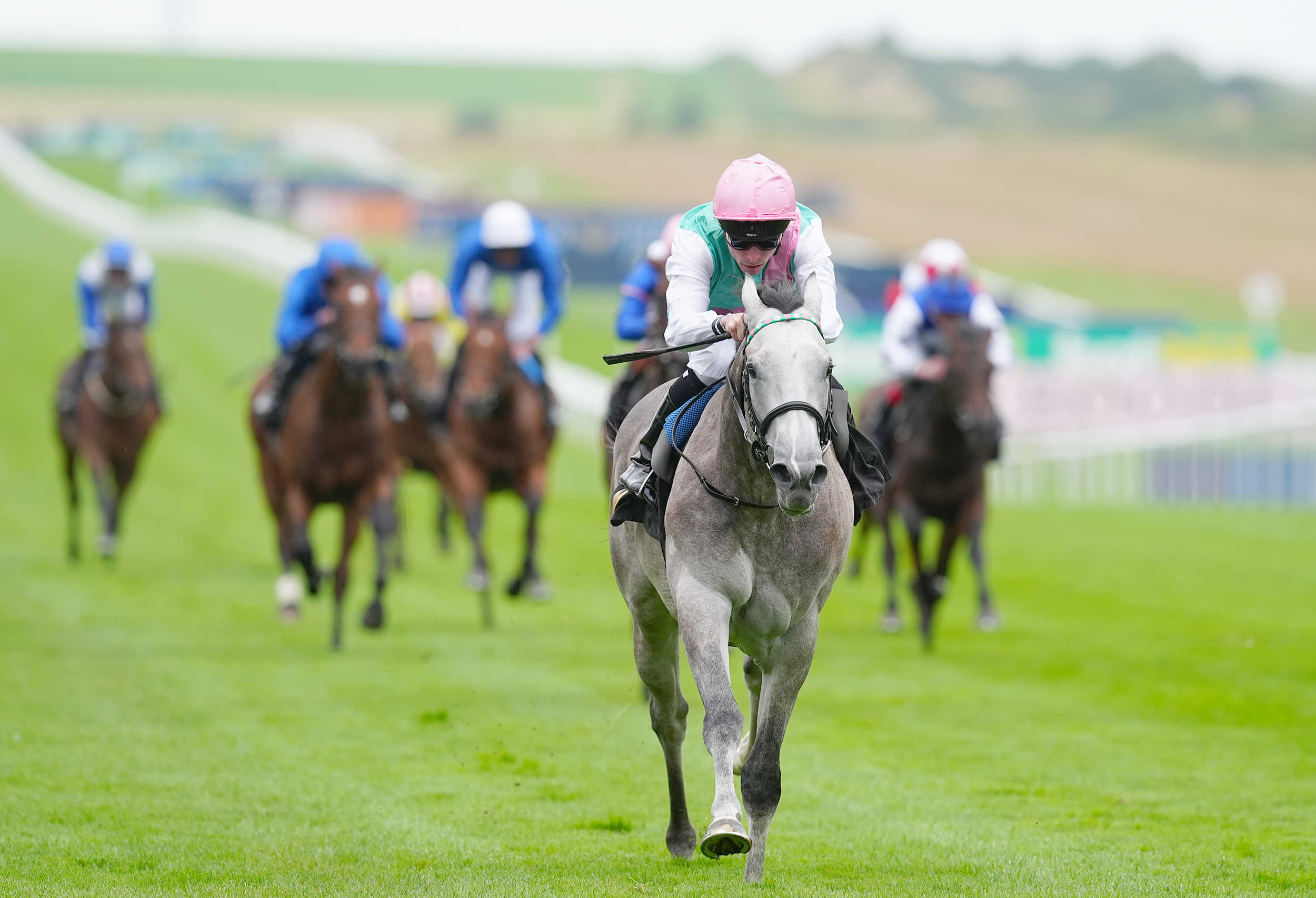 Field Of Gold tops 12 seeking Irish Guineas crown
