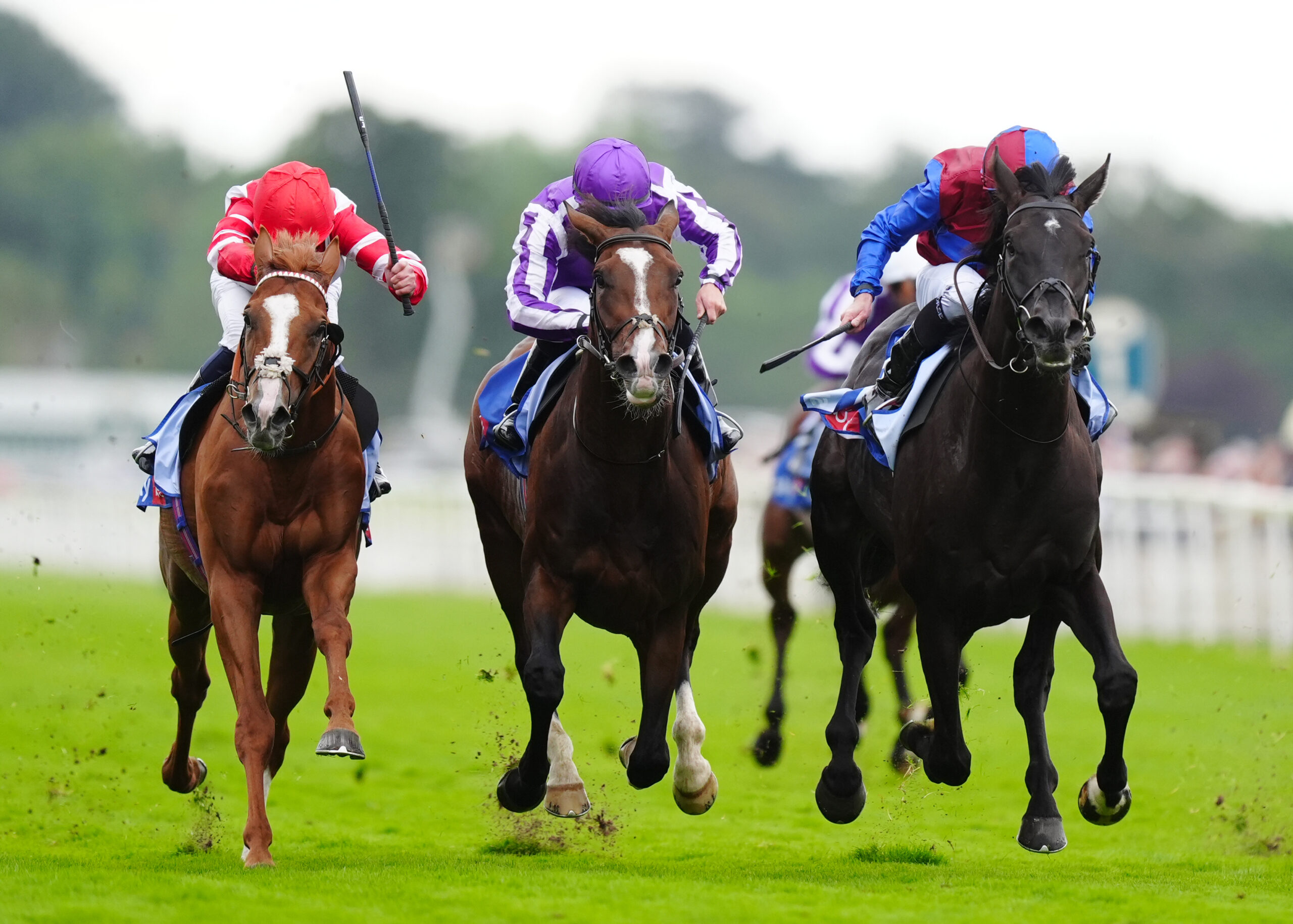 ‘I’d be very confidenttaking the winner on’