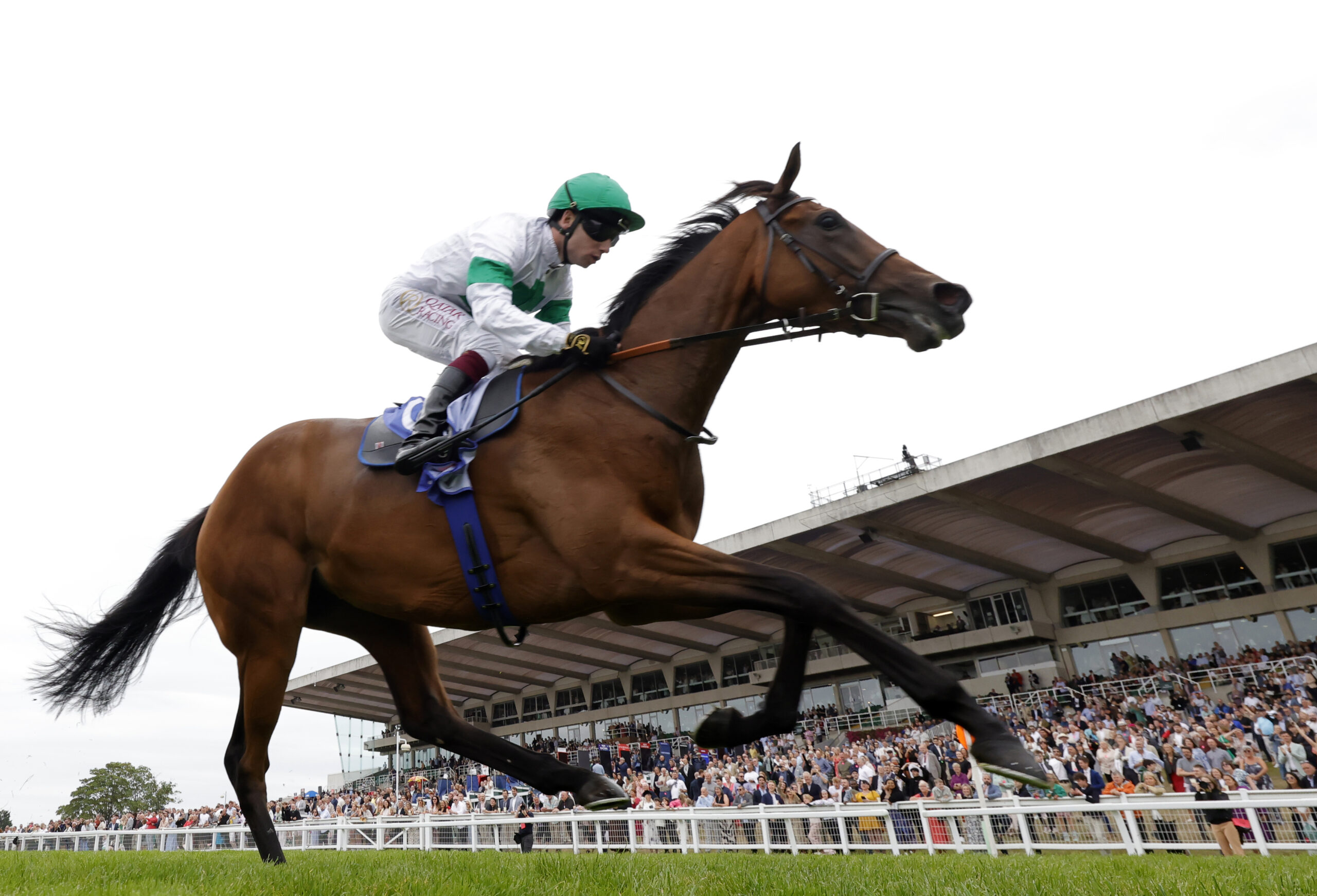 TAMFANA SET FOR LOCKINGE TRIUMPH