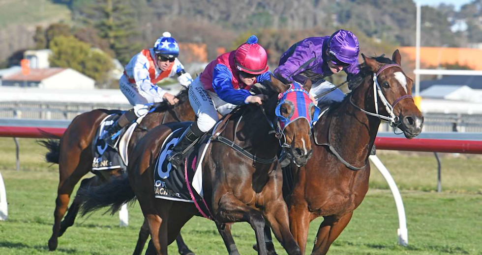 French Selections Sunday 1st