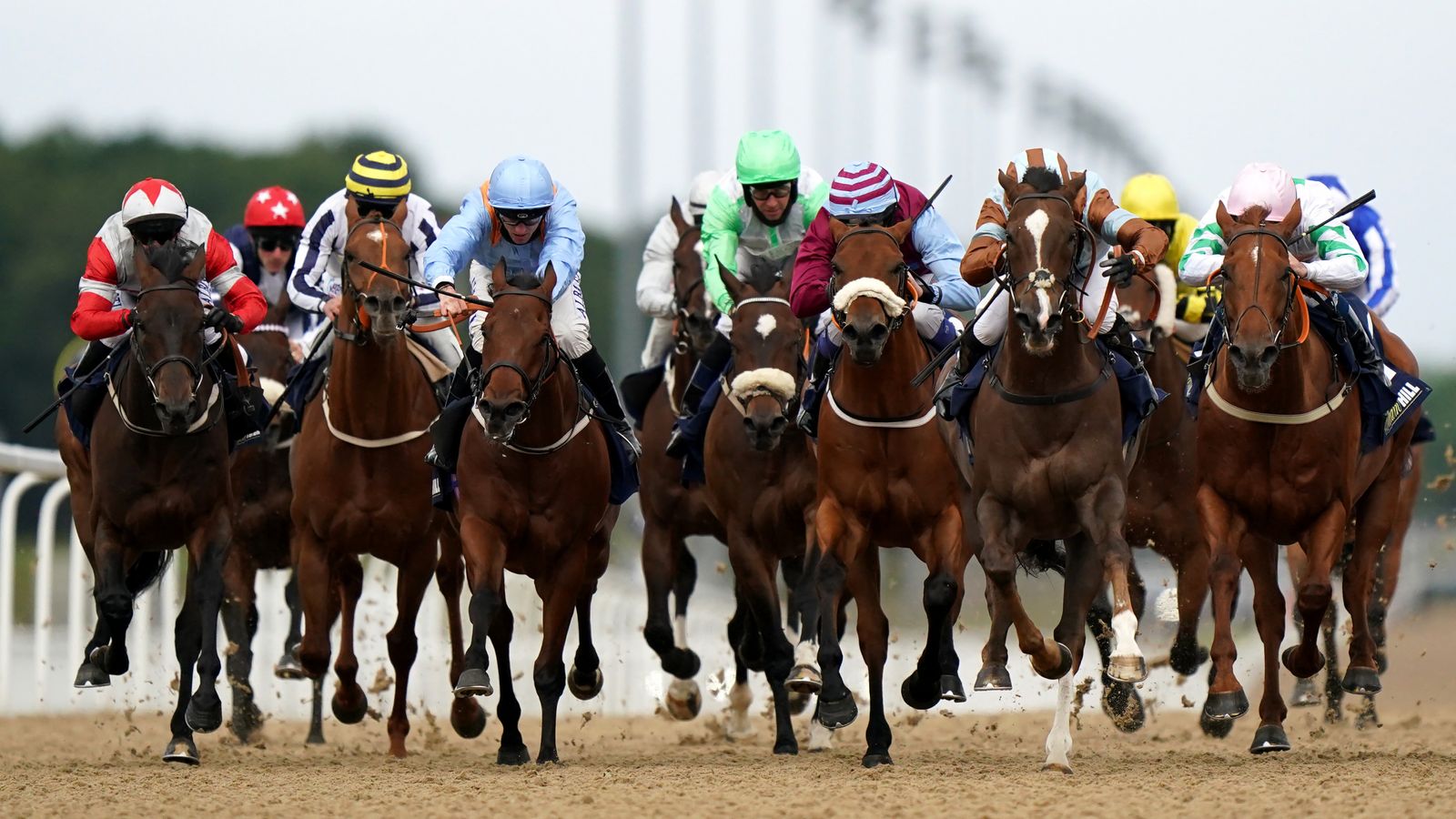 French Selections Tuesday 6th