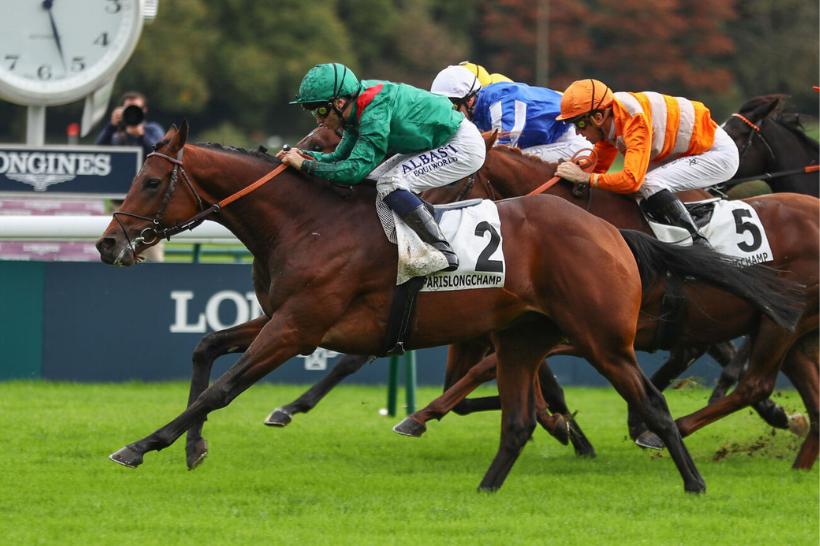 French Selections Thursday 19th