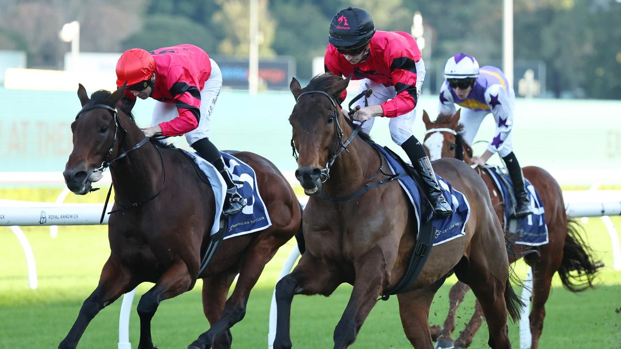 French Selections Saturday 21st