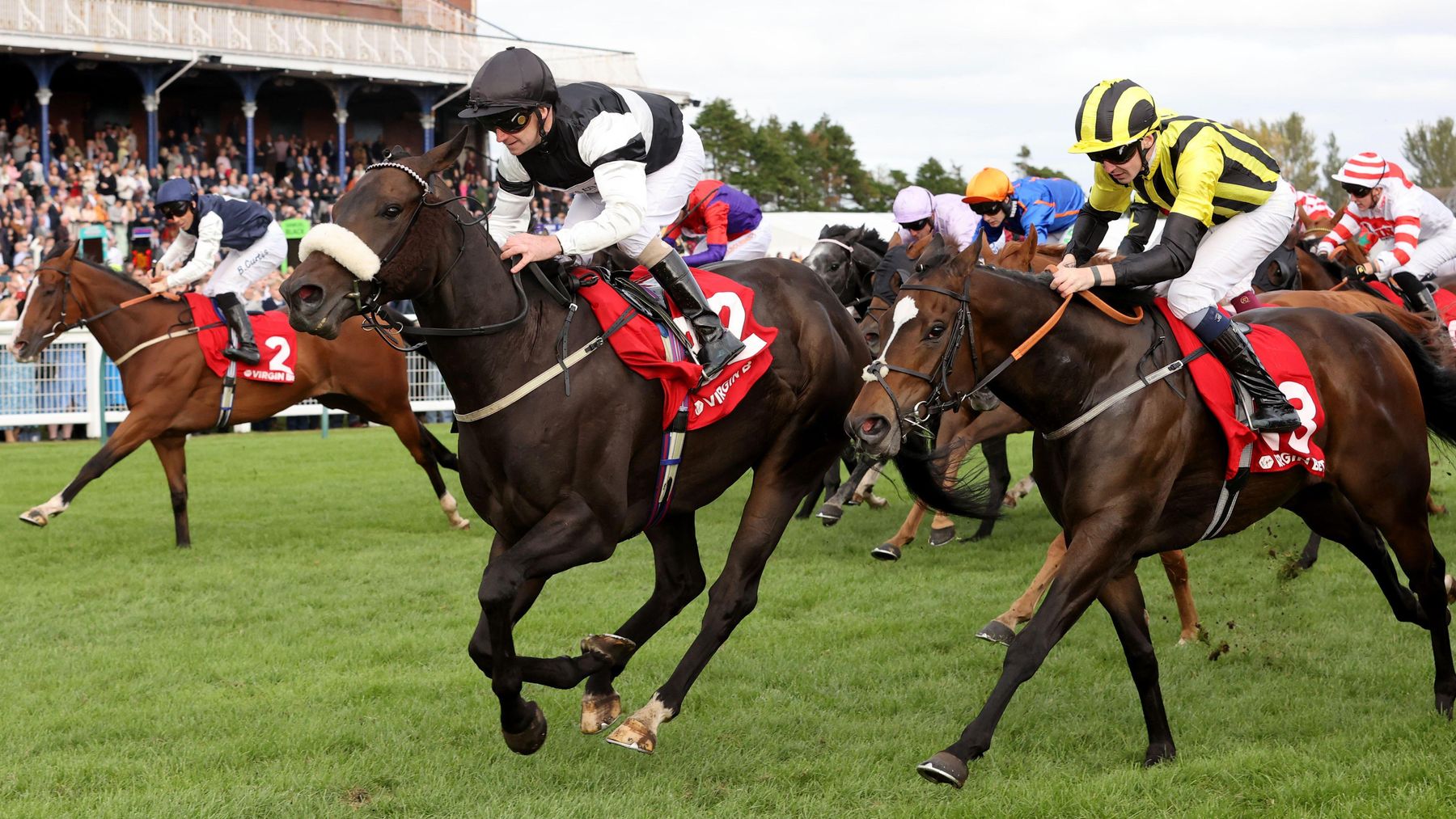 French Selections Wednesday 25th