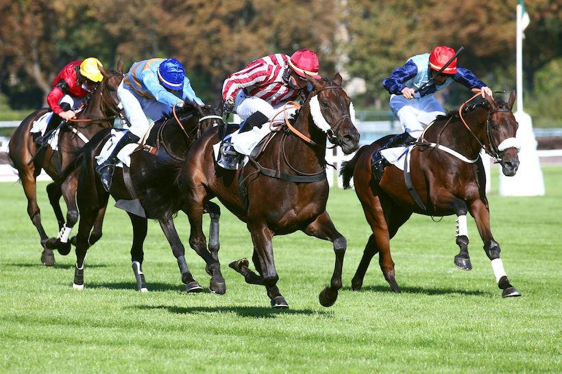 French Selections Friday 27th