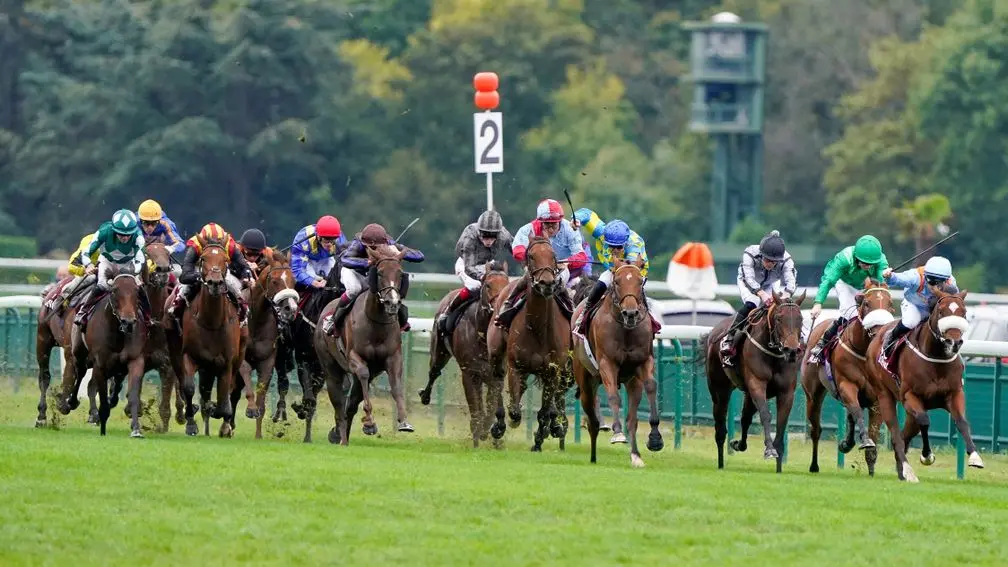 French Selections Saturday 28th