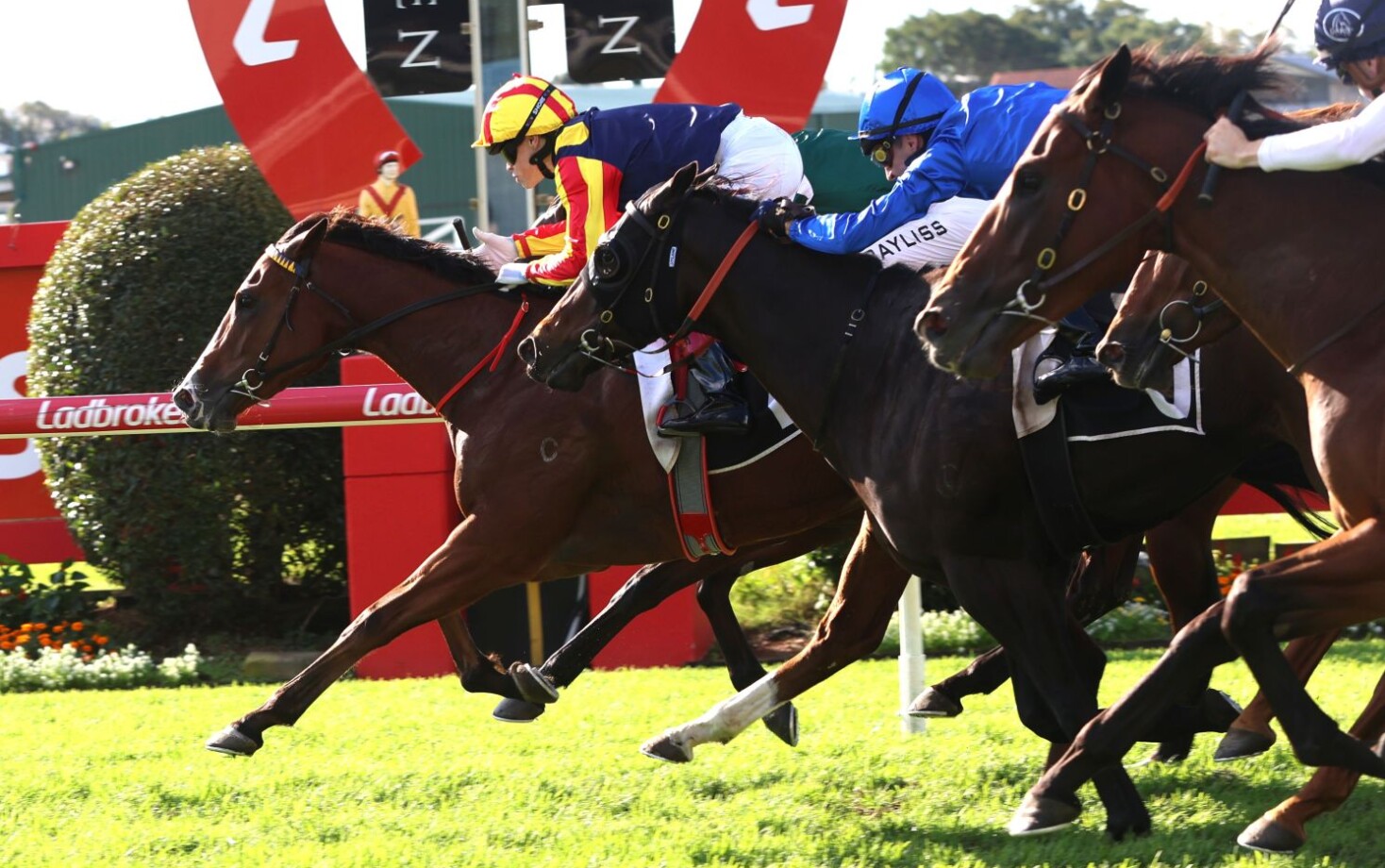 Spicy Martini races into the Stradbroke Handicap