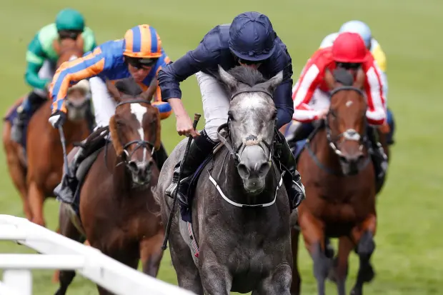 French Selections Wednesday 16th