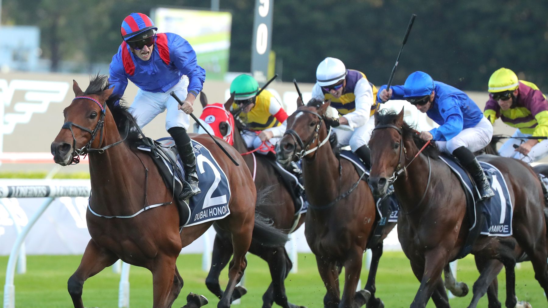 French Selections Wednesday 9th