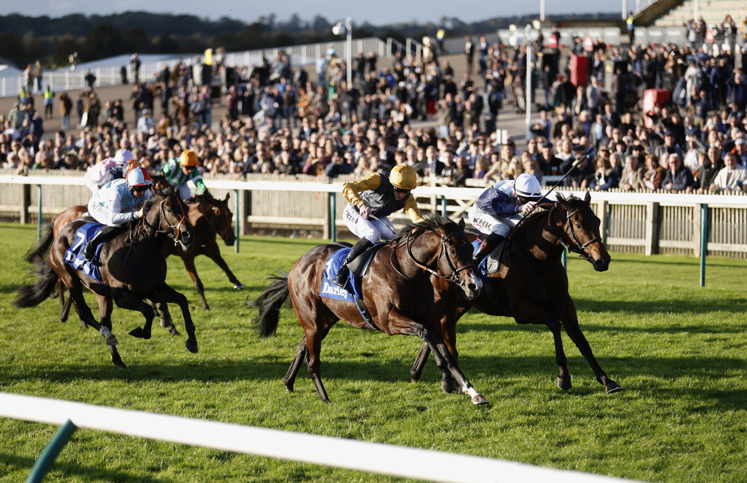 Fair chance Angellica will come good in the Hackwood