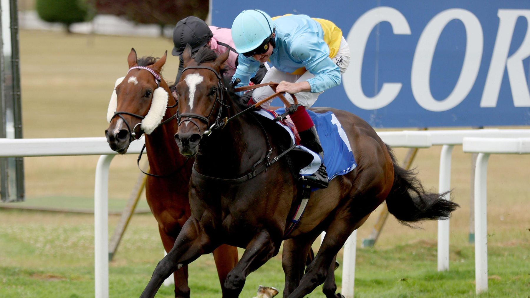 Sandown review