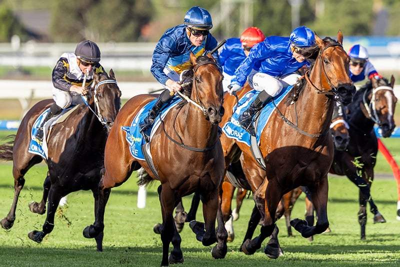 French Selections Friday 18th