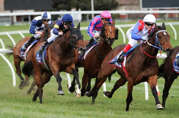 French Selections Friday 11th