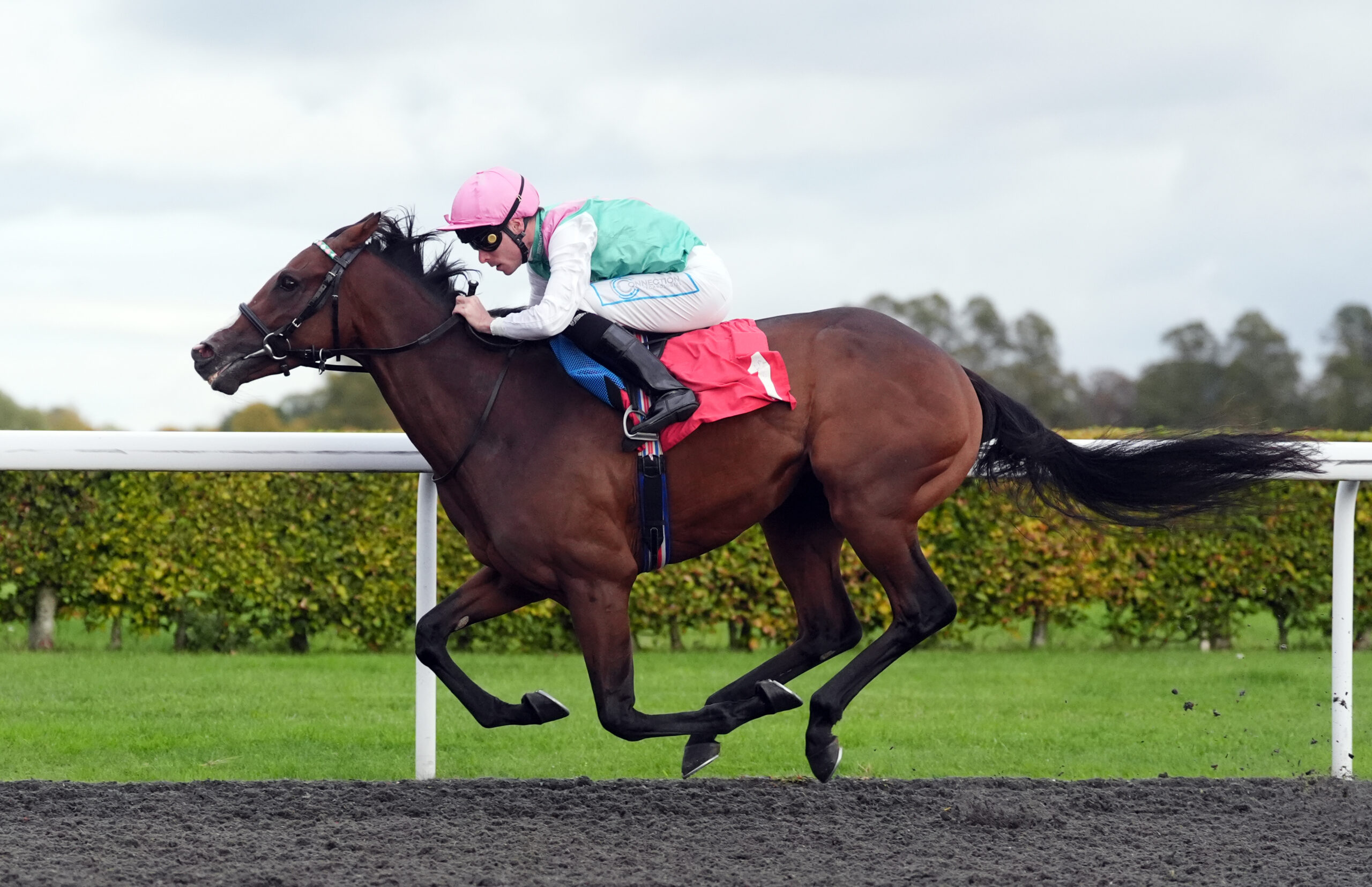 DETAIN CAN ARREST LOSING RUN AT HAYDOCK