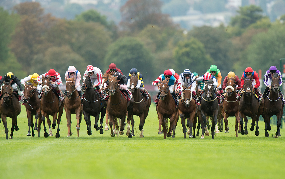 French Selections Monday 25th