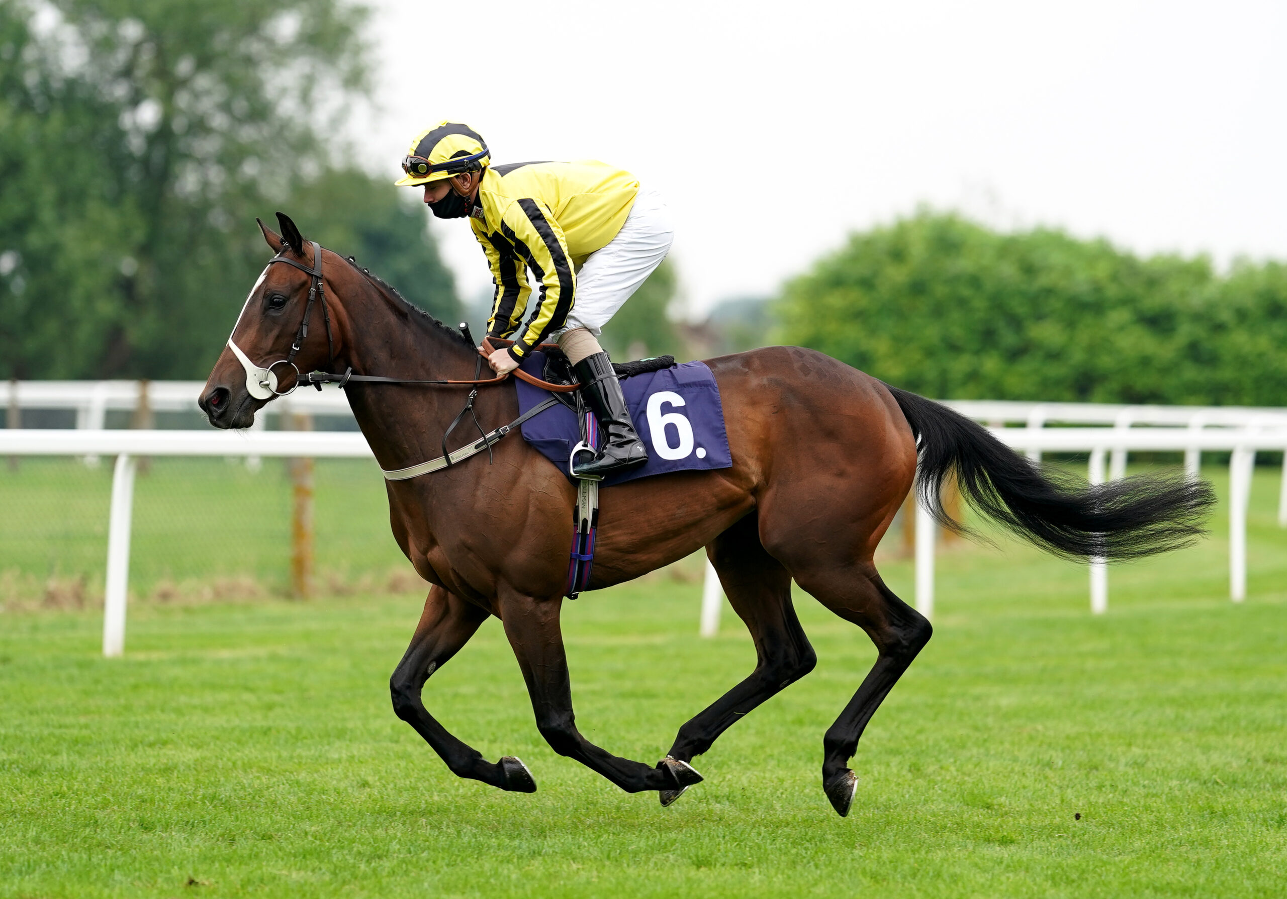 Horse Racing Tips: Nap of the Day and best bets from around the tracks