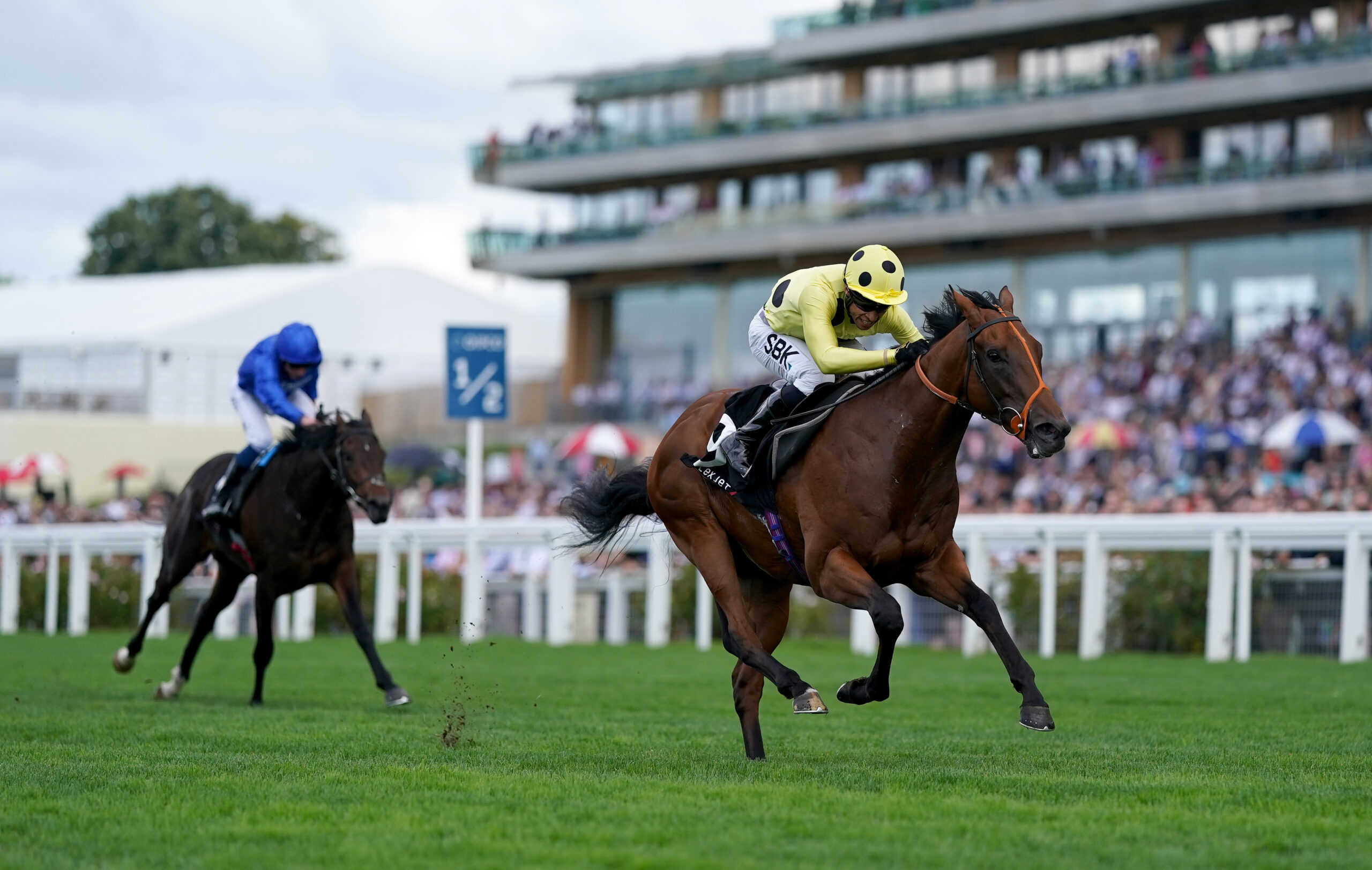 Rosallion heads 11contenders for City of York title