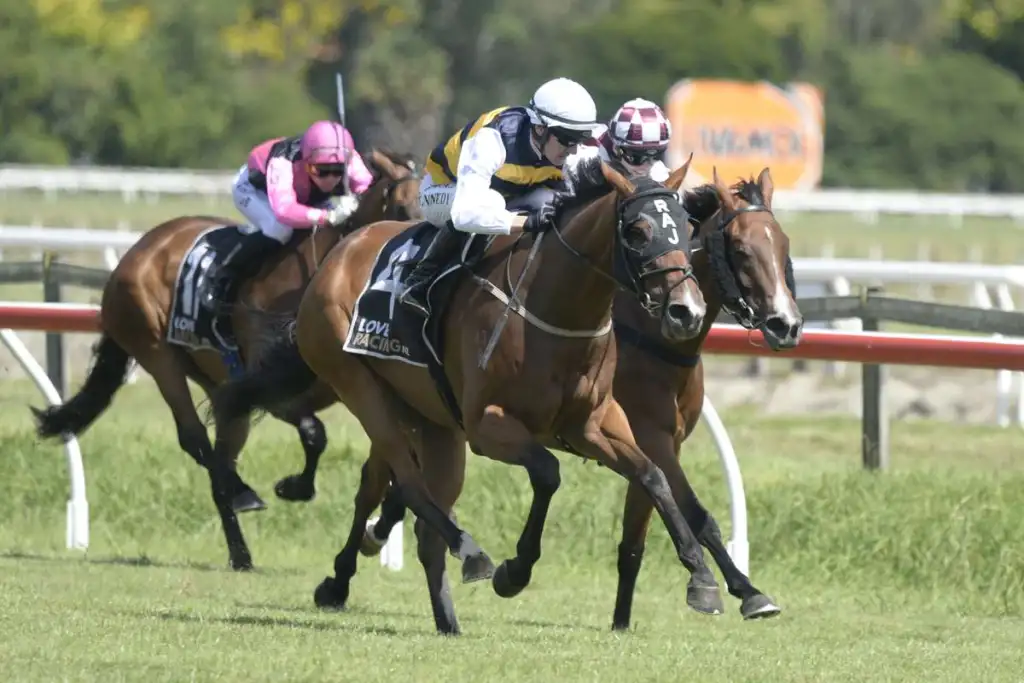 French Selections Wednesday 10th