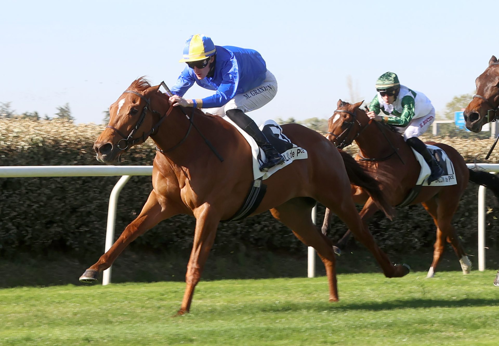 French Selections Saturday 13th