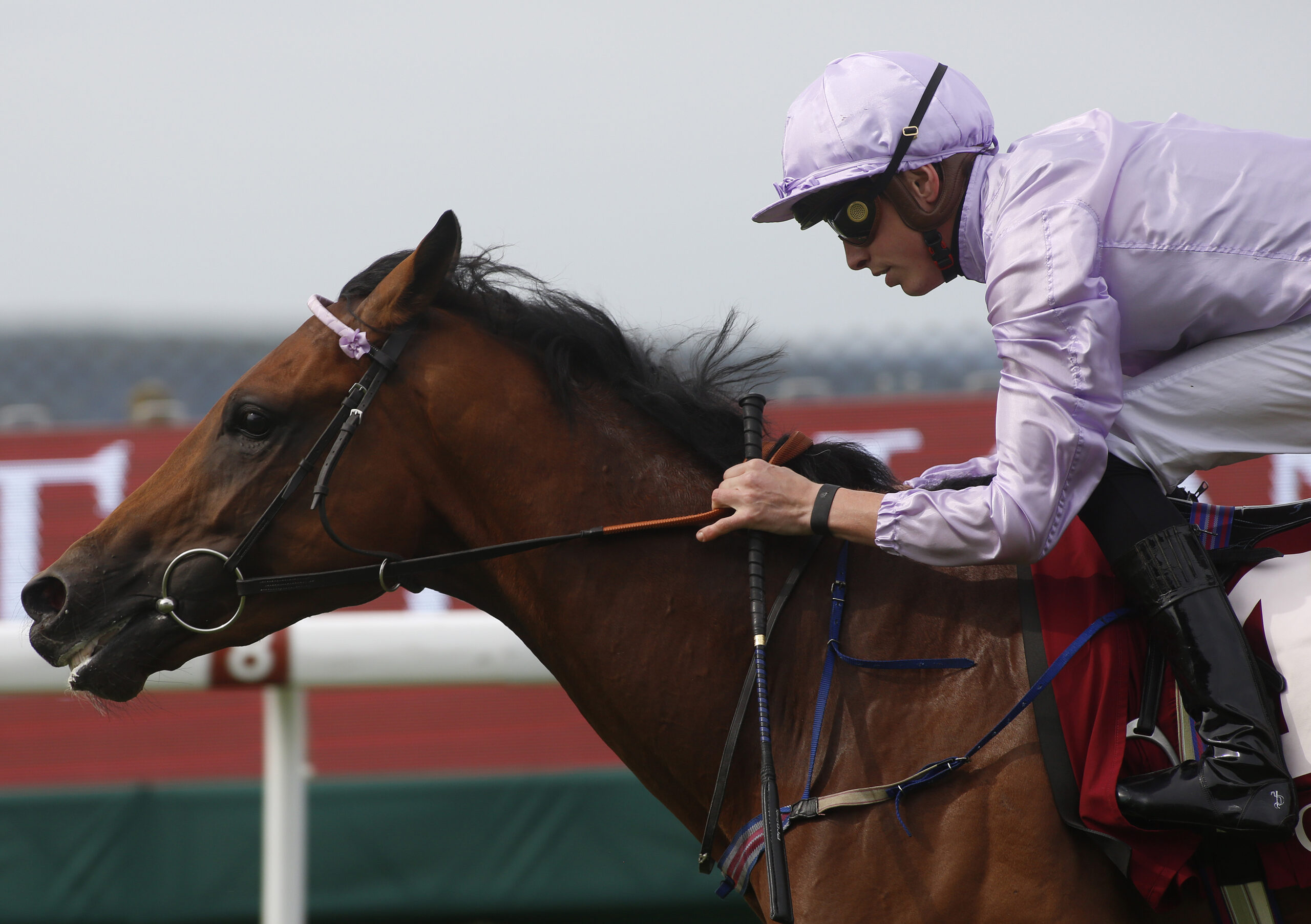 Horse Racing Tips: Nap of the Day and best bets from around the tracks
