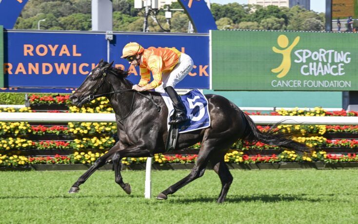Bott eager for another win for ‘Wood