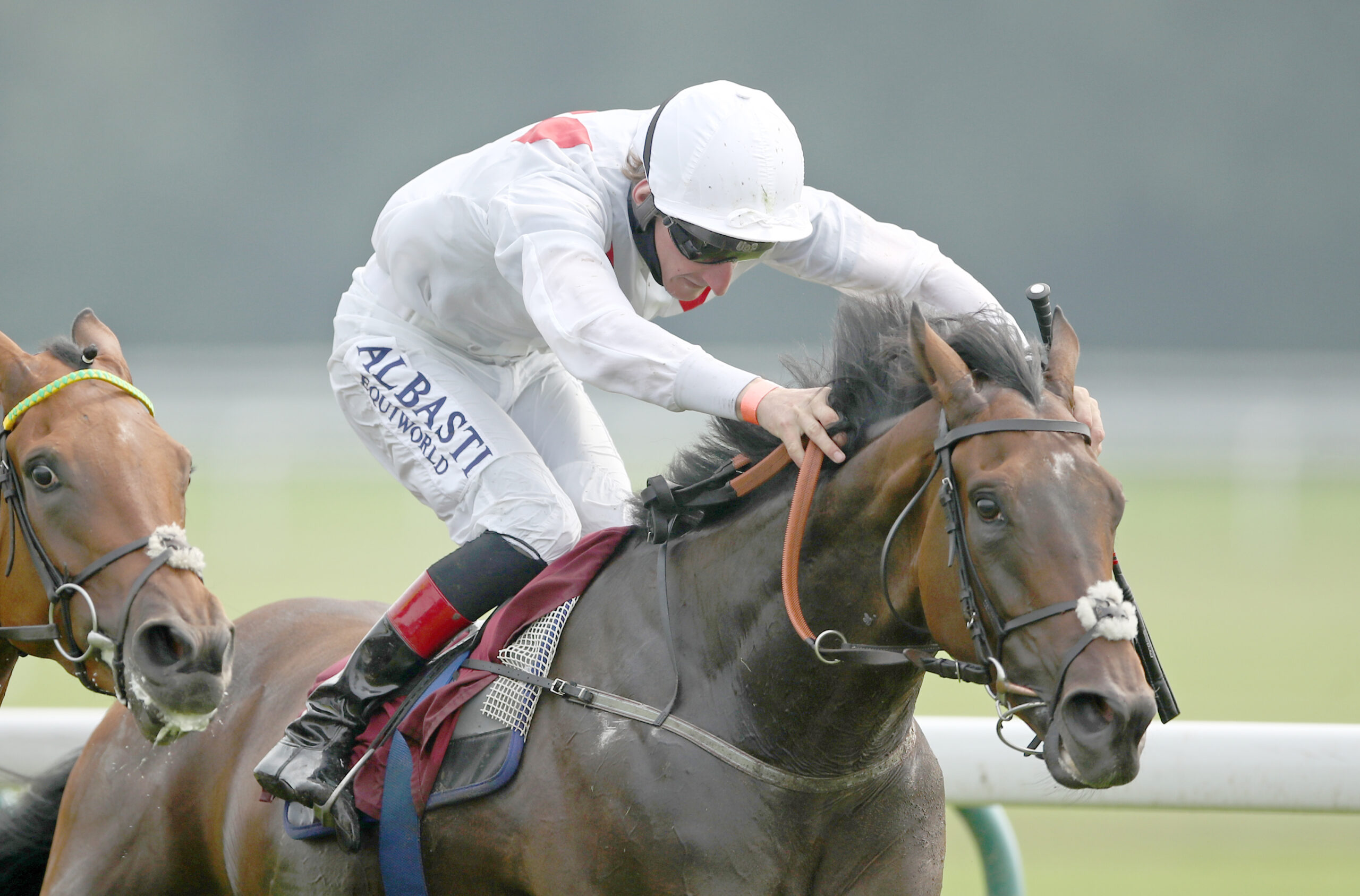 Horse Racing Tips:Nap of the Day