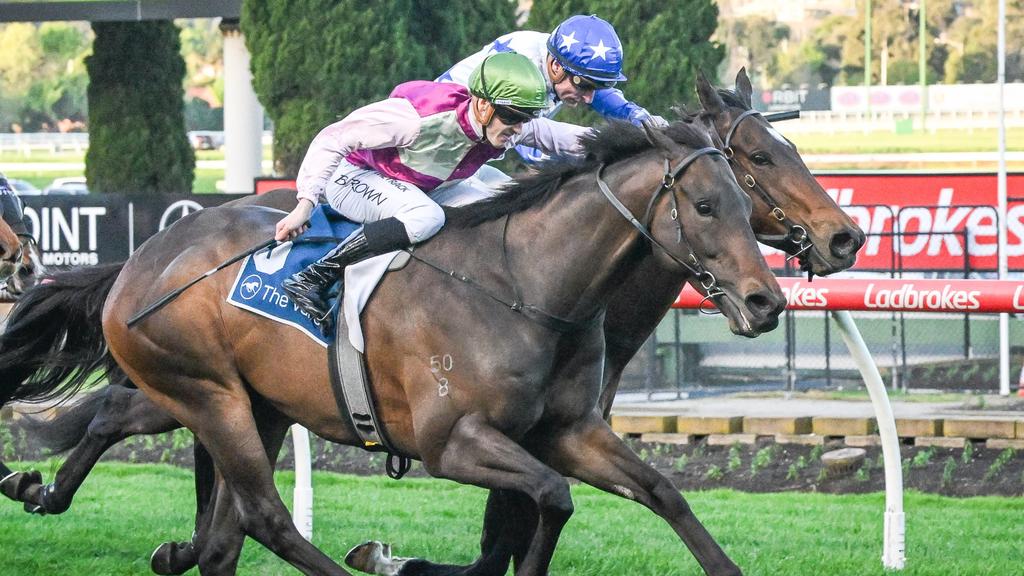 French Selections Sunday 14th