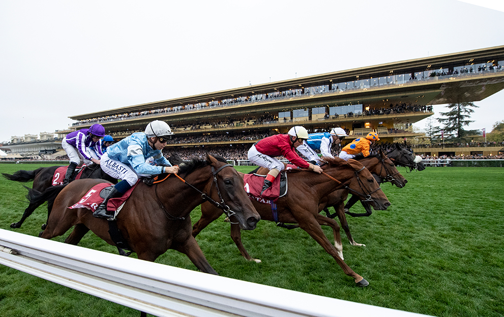 French Selections Sunday 26th