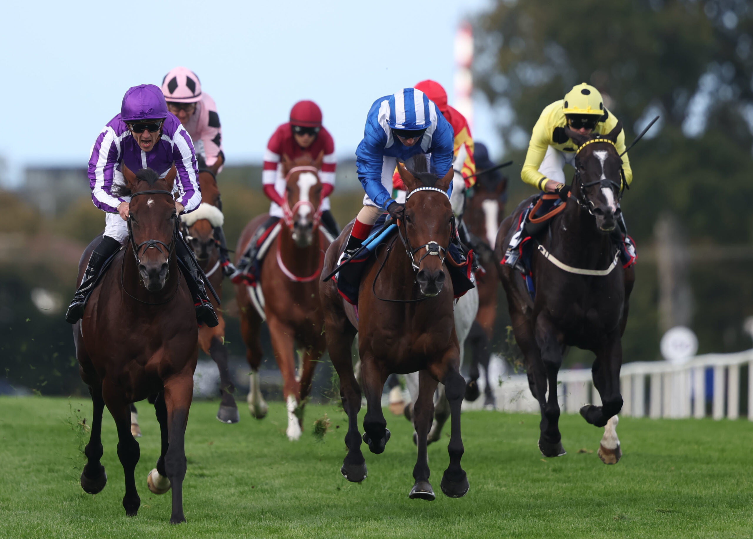O’Brien hopes for Delacroix masterpiece