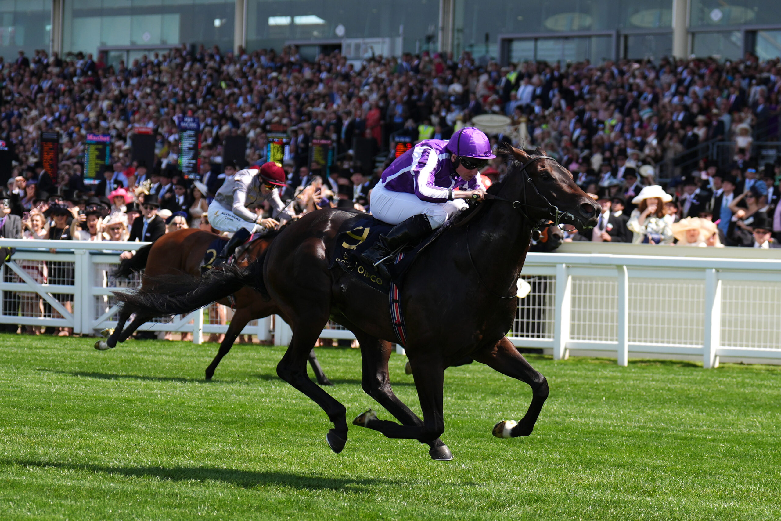 Darley Dewhurst Stakes preview: Gstaad and Zavateri rematch on