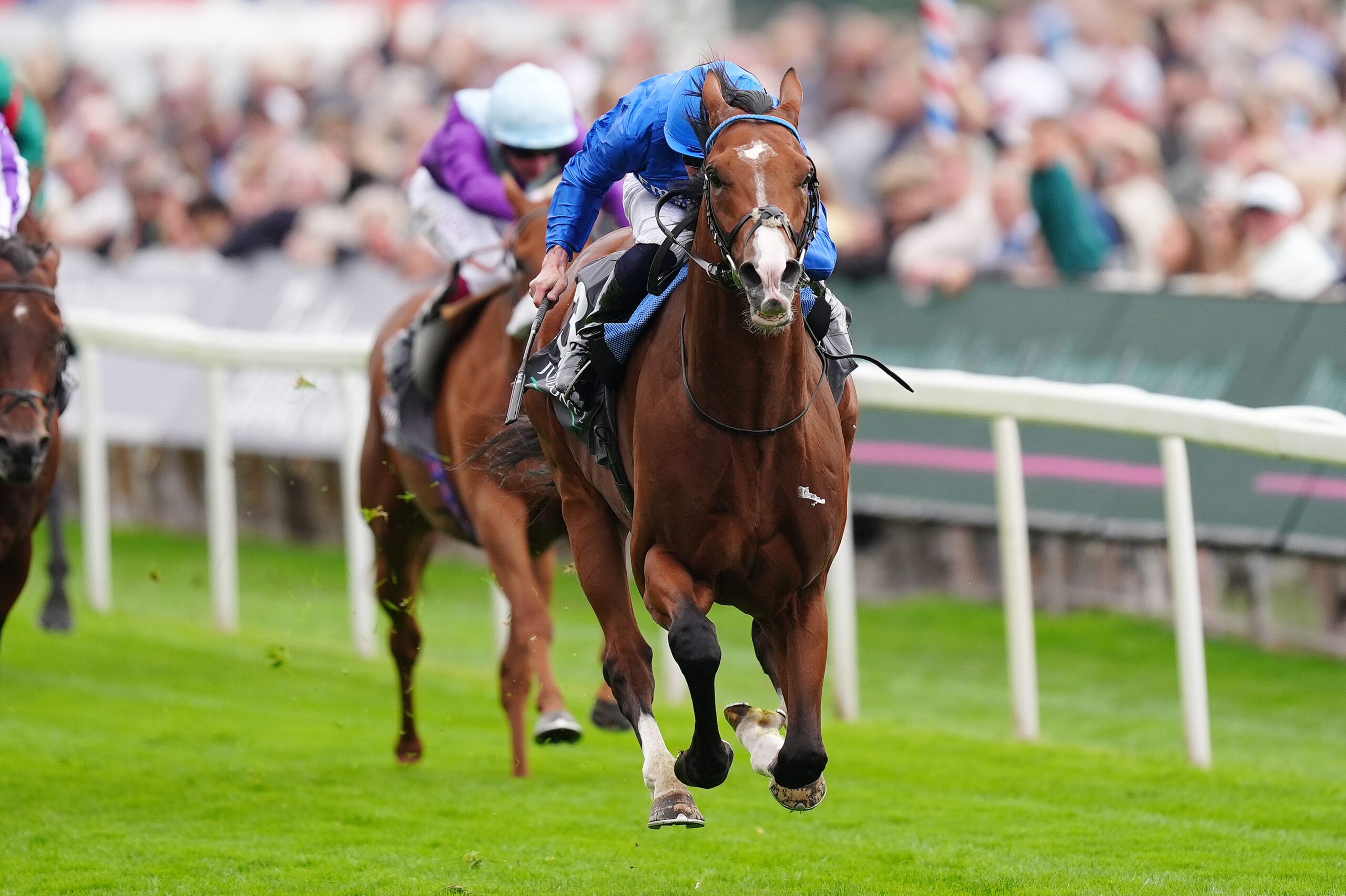 NO COMPLAINTS FOR OMBUDSMAN AT ASCOT