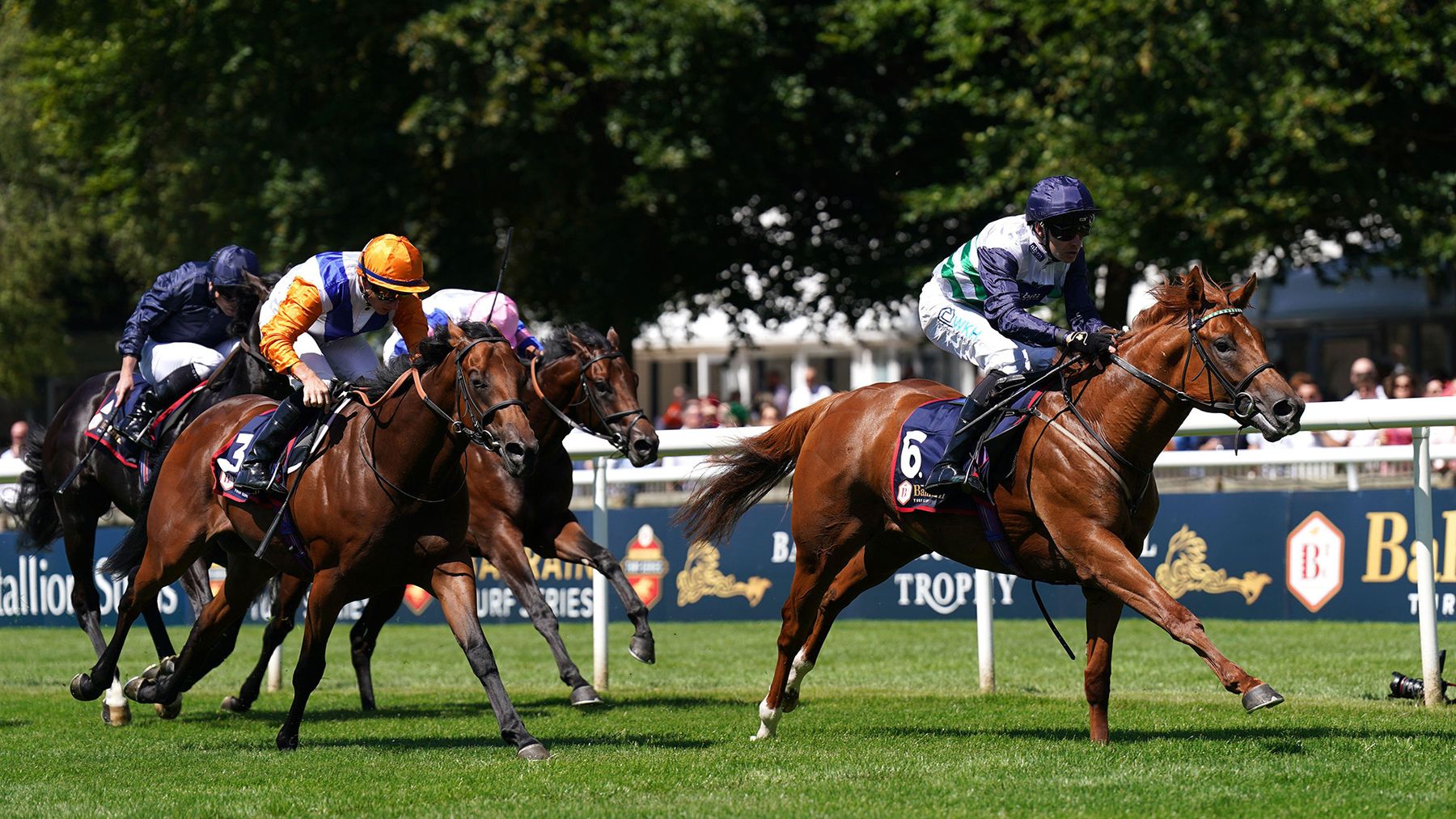 French Selections Friday 24th