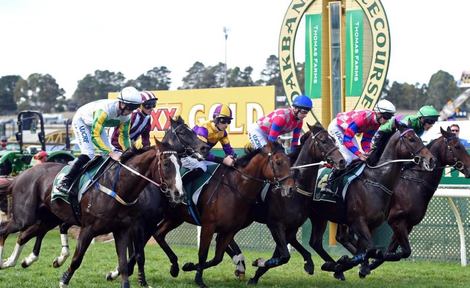 French Selections Saturday 18th