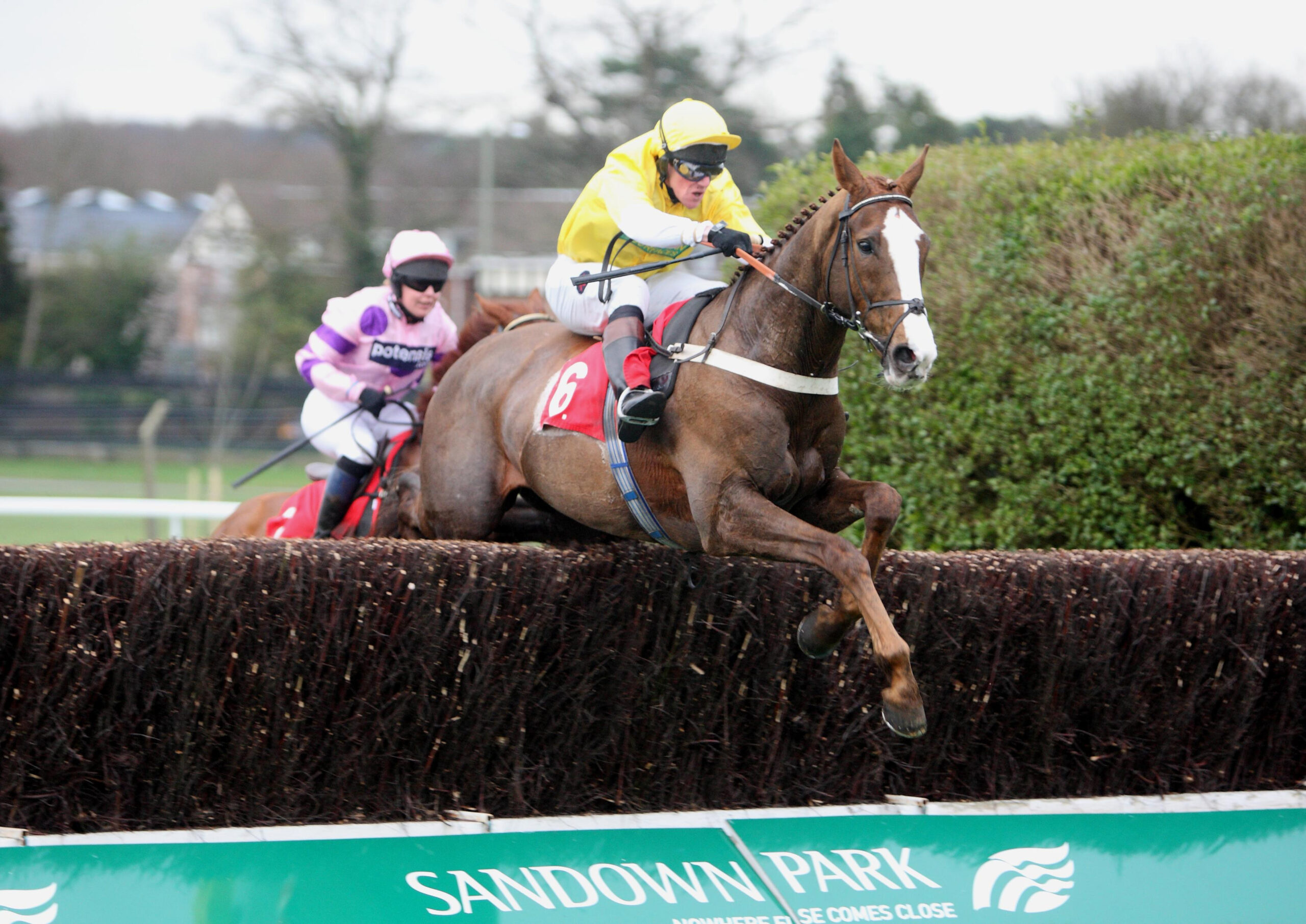 Masked Man to take GradeTwo leap at Haydock