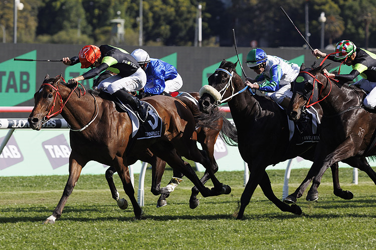 French Selections Wednesday 12th