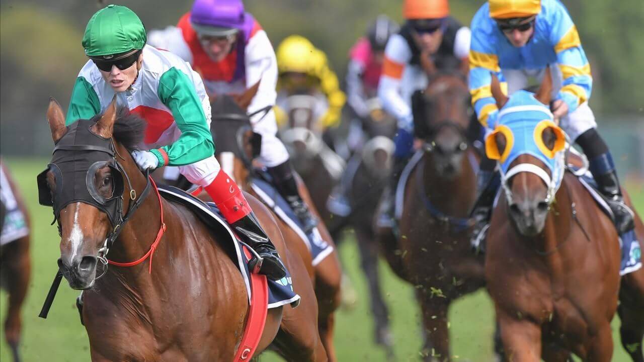 French Selections Saturday 13th