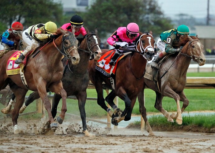 French Selections Saturday 6th