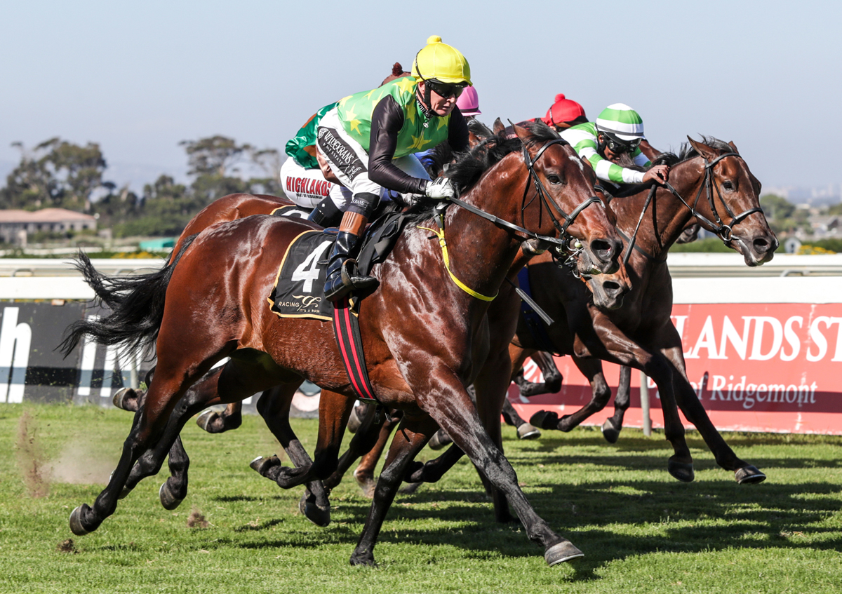 French Selections Saturday 21st