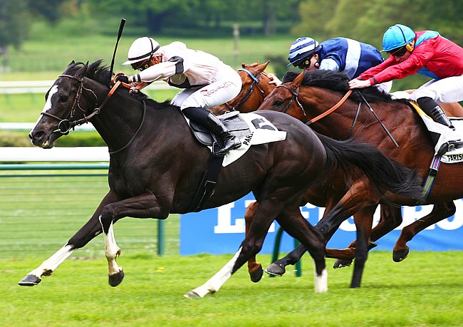 French Selections  Wednesday 18th