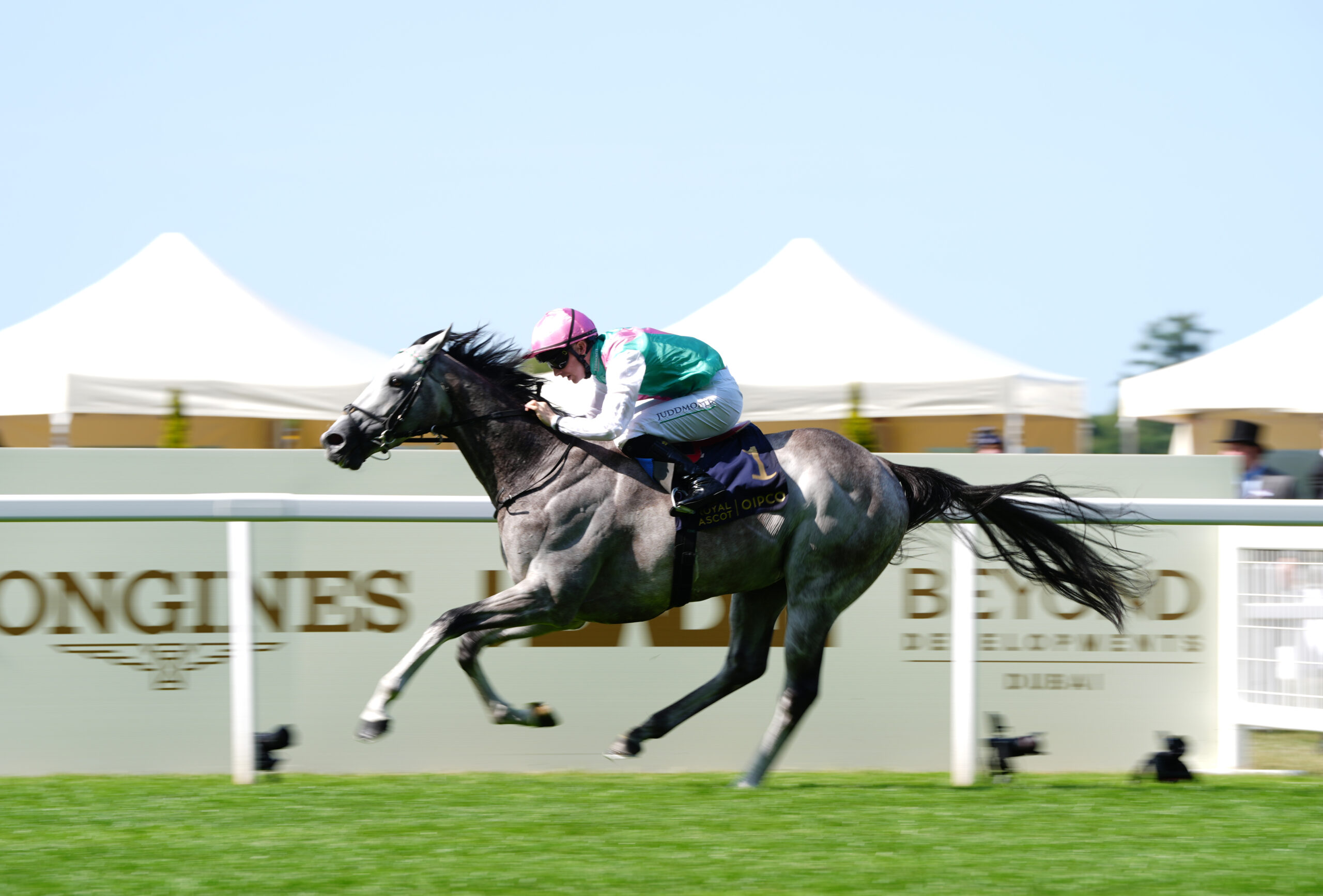 FIELD OF GOLD SET TOSHINE AT SANDOWN