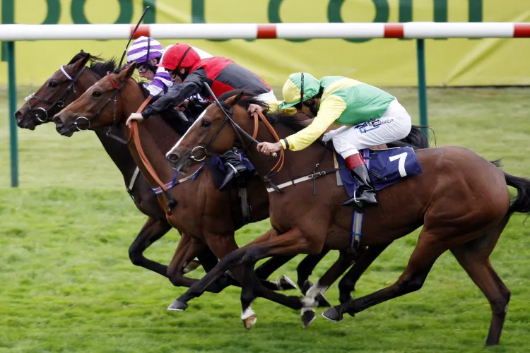 French Selections Thursday 23rd